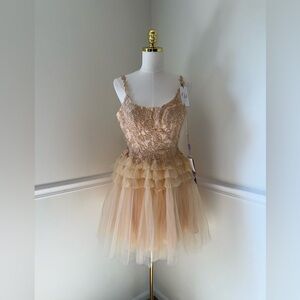 Champagne Gold Cocktail Dress
New with Tags 
Size XS